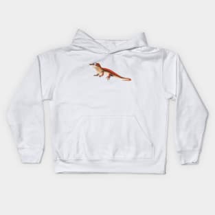 Gargoyle Gecko, Gecko Lovers, Colorful Lizard Kids Hoodie